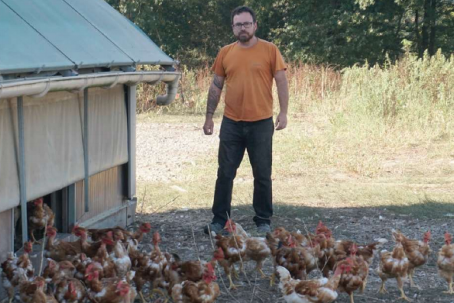 Photo Emmanuel Chatelier,  éleveur de poulets Cou nu jaune 100 % bio chez VBO nourris en trois phases alimentaires : démarrage, croissance et finition.